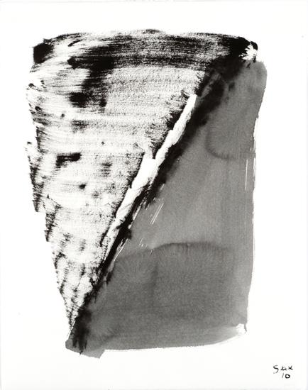 5-2010 zwiefaeltig 66x51 chf 2000.jpg